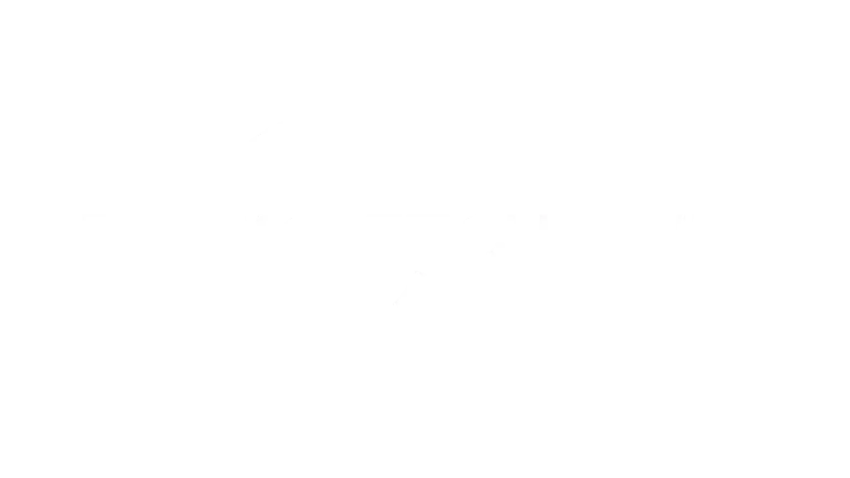 SmartSGI IPTV Channel Provider Icon 14